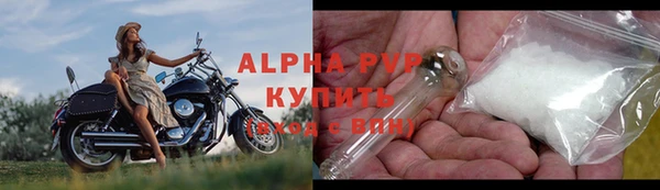 гашик Бородино