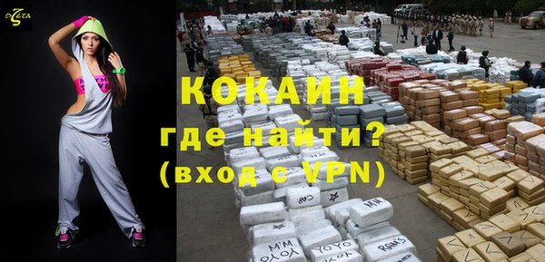 гашик Бородино