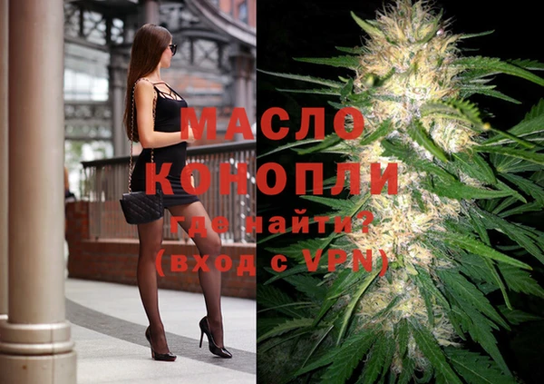 гашик Бородино