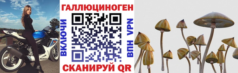 где можно купить наркотик Саратов Галлюциногенные грибы прущие грибы